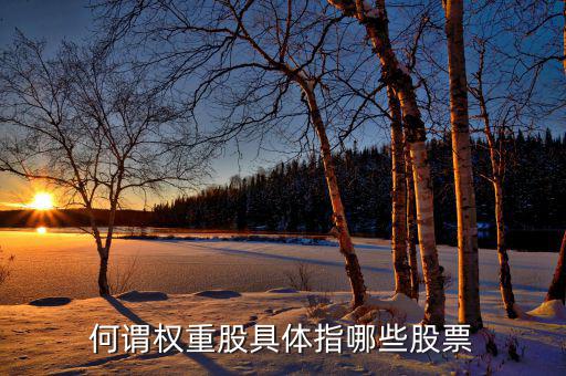 什么叫權(quán)重股，權(quán)重股與小盤股的區(qū)別在那兒我想數(shù)下有多少權(quán)重股有多少小盤股