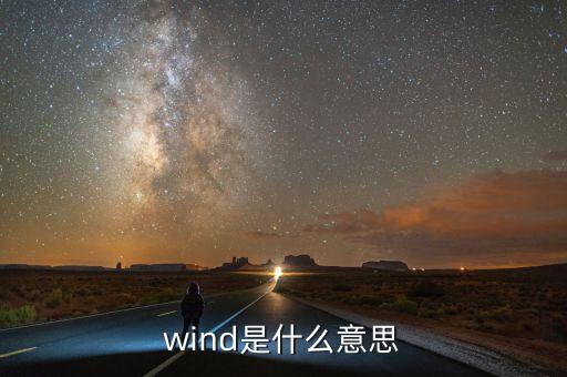 wind數(shù)據(jù)是什么，wind是什么意思