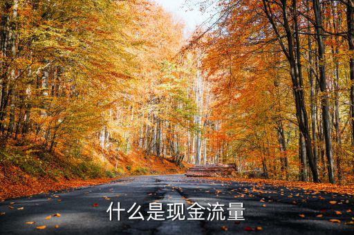 什么是現(xiàn)金流量，現(xiàn)金流量是指什么說得簡單一點謝謝