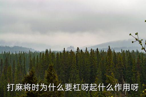 為什么要用杠桿，為什么有些杠桿要設計成費力的呢