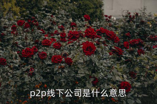 p2p線(xiàn)下公司是什么意思