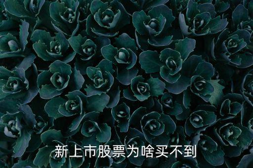 為什么新股我總買不到，新上市股票為啥買不到