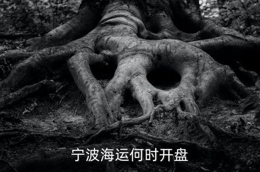 寧波海運(yùn)何時(shí)開(kāi)盤