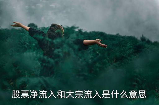股票大宗流入是什么意思，股票凈流入額大宗流入什么意思