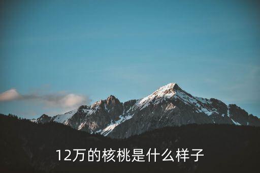 36萬核桃長什么樣，大家看這個(gè)核桃做的怎樣值多少