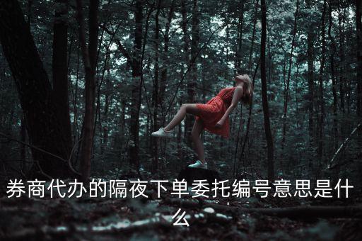 股票委托編號(hào)是什么意思，股票交易中委托編號(hào)208中208是什么意思