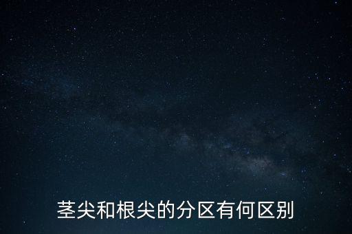 外高橋分區(qū)指按部屬于什么級(jí)別，上海市外高橋保稅區(qū)是屬于什么區(qū)