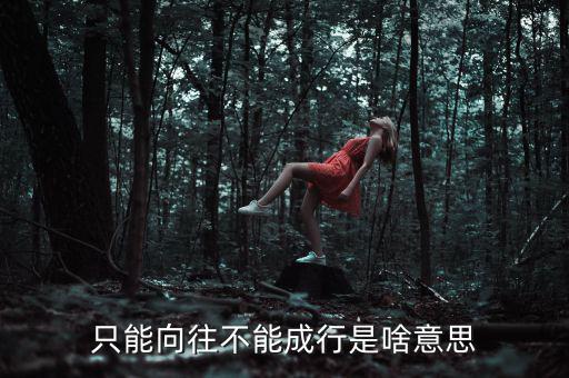 未能成行是什么意思，只能向往不能成行是啥意思