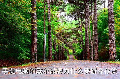 戴爾用信息代替庫存的后果是什么，我的筆記本電腦是DELL的前幾天買的人家二手貨他把系統(tǒng)的信