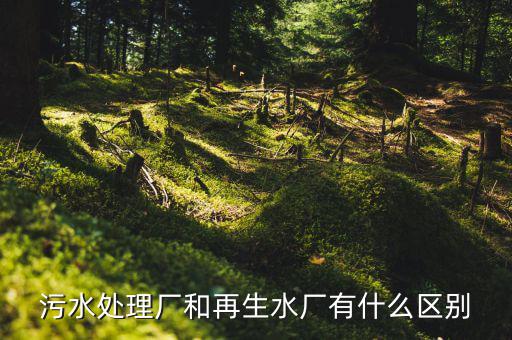 什么是再生水廠，污水處理廠和再生水廠有什么區(qū)別