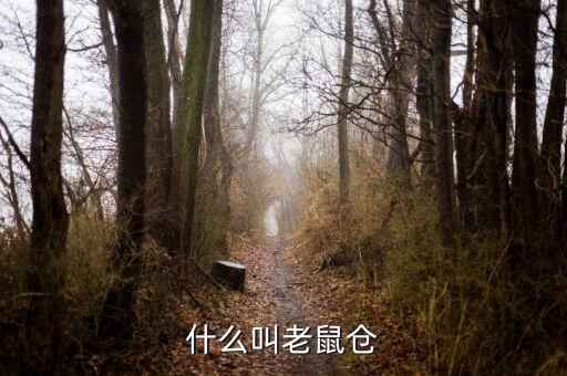 什么是老鼠倉(cāng)圖形，股票中什么是老鼠倉(cāng)呢簡(jiǎn)明即可