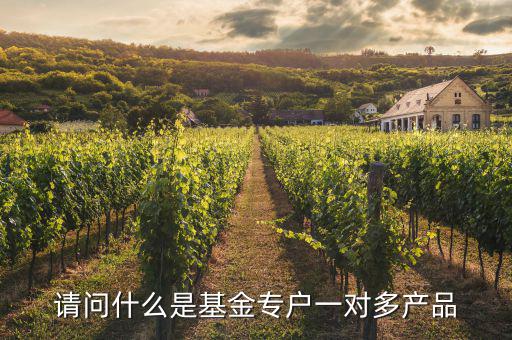 一對(duì)多專戶是什么意思，請(qǐng)問(wèn)什么是基金專戶一對(duì)多產(chǎn)品