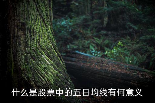 5日均線有什么用，什么是股票中的五日均線有何意義