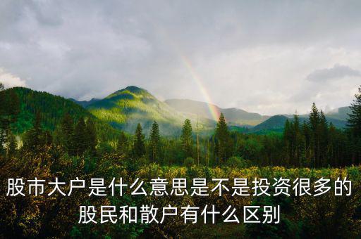 炒股大戶是什么意思，股票中的大戶是什么意思
