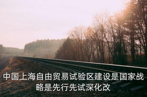 上海自貿(mào)區(qū)改革新60條是什么，建立上海自貿(mào)區(qū)屬于宏觀調(diào)控的哪個手段