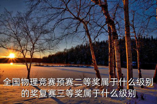 全國物理競(jìng)賽預(yù)賽二等獎(jiǎng)屬于什么級(jí)別的獎(jiǎng)復(fù)賽三等獎(jiǎng)屬于什么級(jí)別