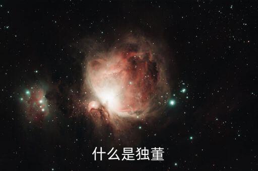 為什么董建華獨董，我國上市公司的獨立董事的來源主要有哪些