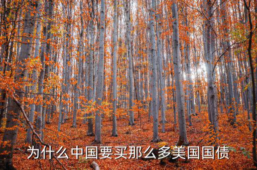 為什么要買美國國債，為什么要買那么多美國國債