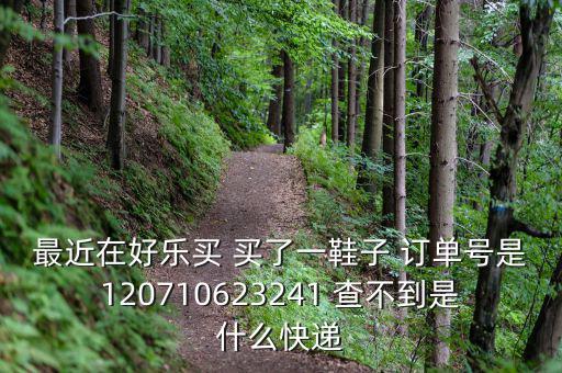 好樂買發(fā)什么快遞，我在好樂買用網(wǎng)銀付款買了雙鞋子請(qǐng)問他們都用什么快遞發(fā)貨