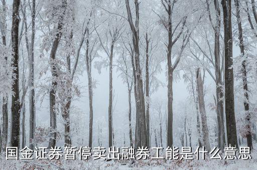 暫停融券是什么意思，國金證券暫停賣出融券工能是什么意思