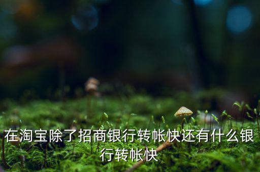 什么銀行網(wǎng)上轉(zhuǎn)賬最慢，在淘寶除了招商銀行轉(zhuǎn)帳快還有什么銀行轉(zhuǎn)帳快