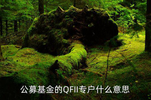 公募專戶是什么意思，什么是基金專戶