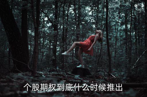 什么時候推出個股期權，股票期權什么時間開始