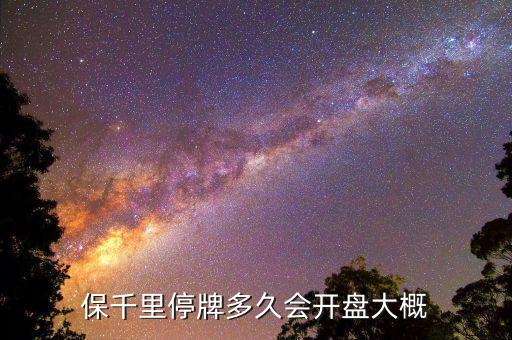 保千里什么時(shí)間上市，保千里什么時(shí)候復(fù)牌