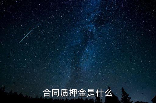 質(zhì)押金是什么，期貨中的質(zhì)押金是什么意思