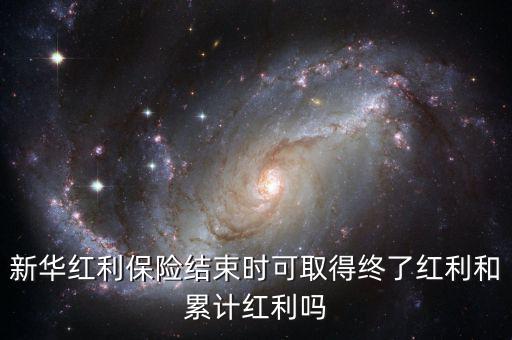 新華紅利保險結束時可取得終了紅利和累計紅利嗎