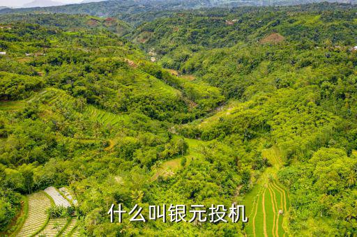 什么叫貨幣投機(jī)，什么是投機(jī)性的貨幣需求