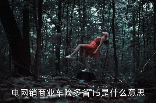 電網(wǎng)銷是什么意思，電網(wǎng)銷商業(yè)車險(xiǎn)多省15是什么意思