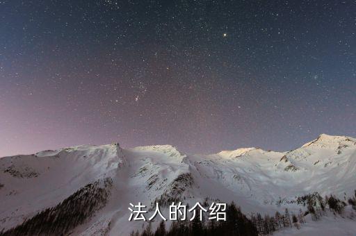 法人渠道是什么意思，法人的介紹