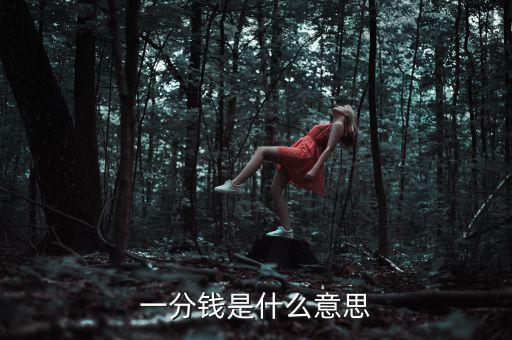 支付寶錢包一分錢是什么意思，一分錢是什么意思