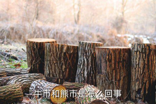 什么是熊市，人們?nèi)粘Ｕ務(wù)摴墒行星闀r常提及牛市熊市其中牛市指