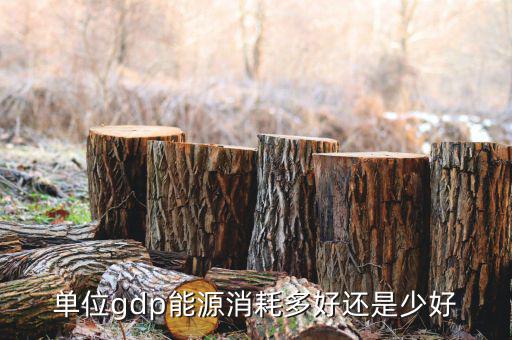 單位GDP越高說(shuō)明什么，GDP代表著什么