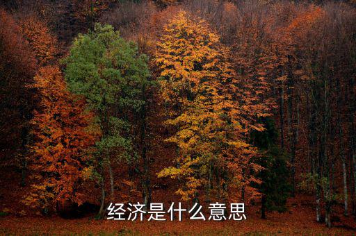 什么經(jīng)濟(jì)，什么是商品經(jīng)濟(jì)