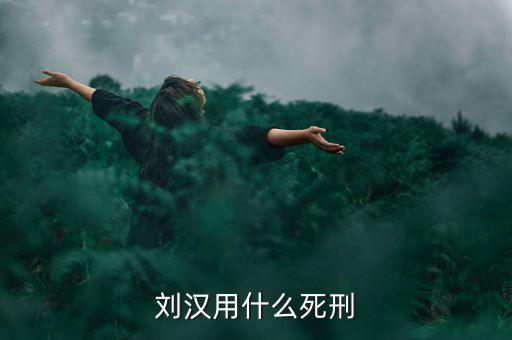 劉漢什么罪，劉漢用什么死刑