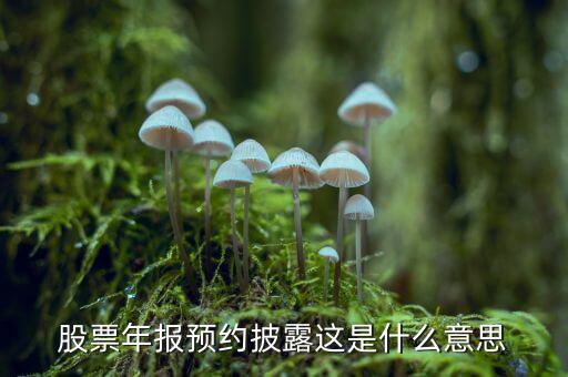 股票披露是什么意思，股票年報預(yù)約披露這是什么意思