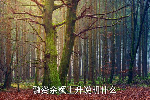 濰柴融資額度很高說明什么，融資余額上升說明什么