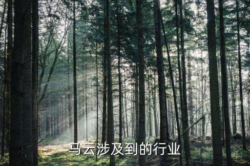 馬云投入醫(yī)藥行業(yè)什么意思，藥店買藥馬云買單什么意思