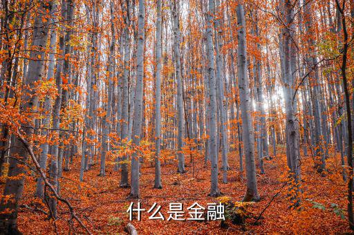 金融是什么，什么是金融