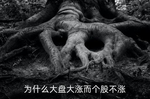 板塊都漲我的個股不長什么原因，為什么大盤大漲而個股不漲