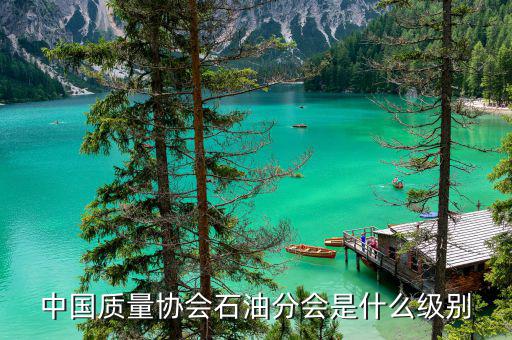 中質協(xié)獎屬于什么級別，國藝杯屬于什么級別的獎項