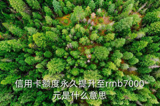 信用卡永久額度是什么意思，信用卡額度永久提升至rmb7000元是什么意思