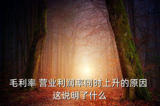 毛利率增長(zhǎng)說(shuō)明什么，增值稅毛利率的高低說(shuō)明什么