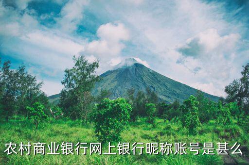 吳江農(nóng)村商業(yè)銀行用戶(hù)名是什么，銀行用戶(hù)名是什么
