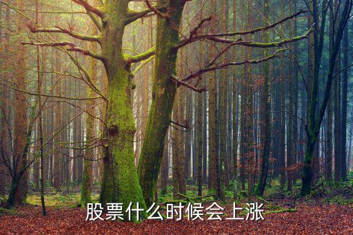 股票在什么情況下才會(huì)漲，股票什么時(shí)候會(huì)上漲