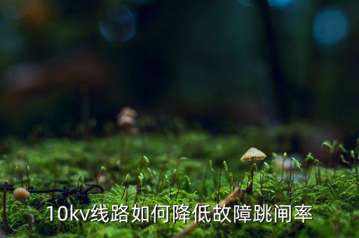 為什么巡視一汽集團，考駕照筆試可以照抄嗎