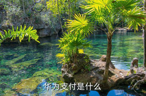 華銀支付是什么，華為支付是什么